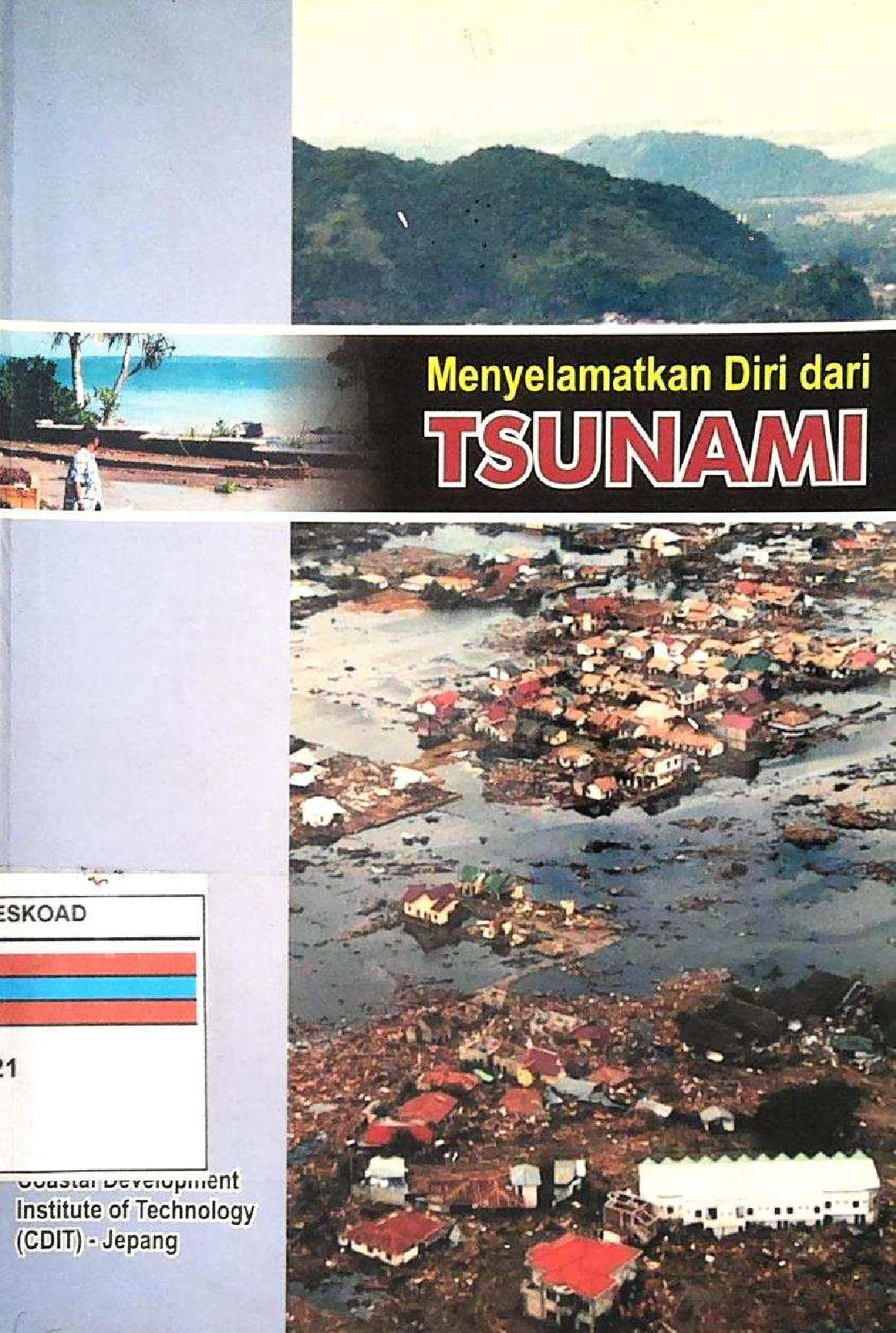 Menyelamatkan Diri Dari Tsunami
